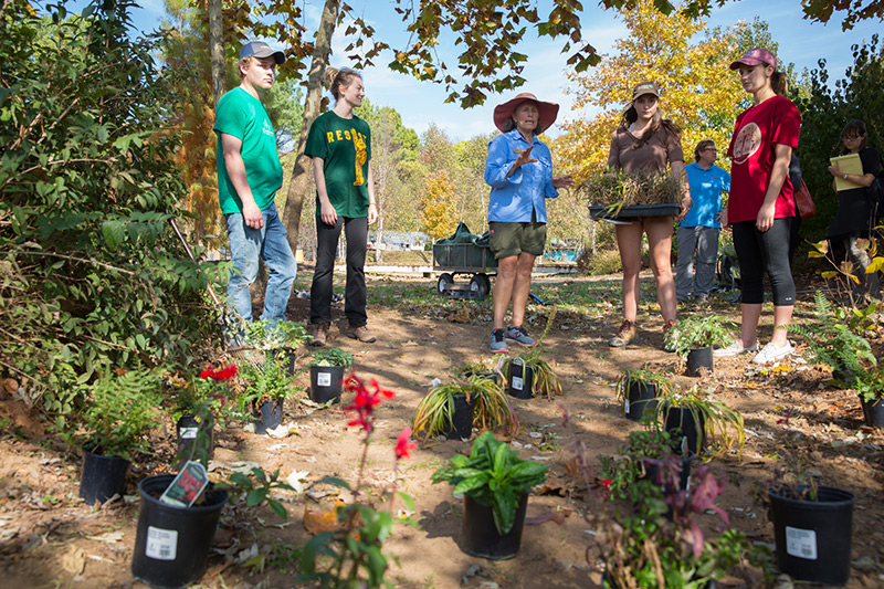 Students planting flowers